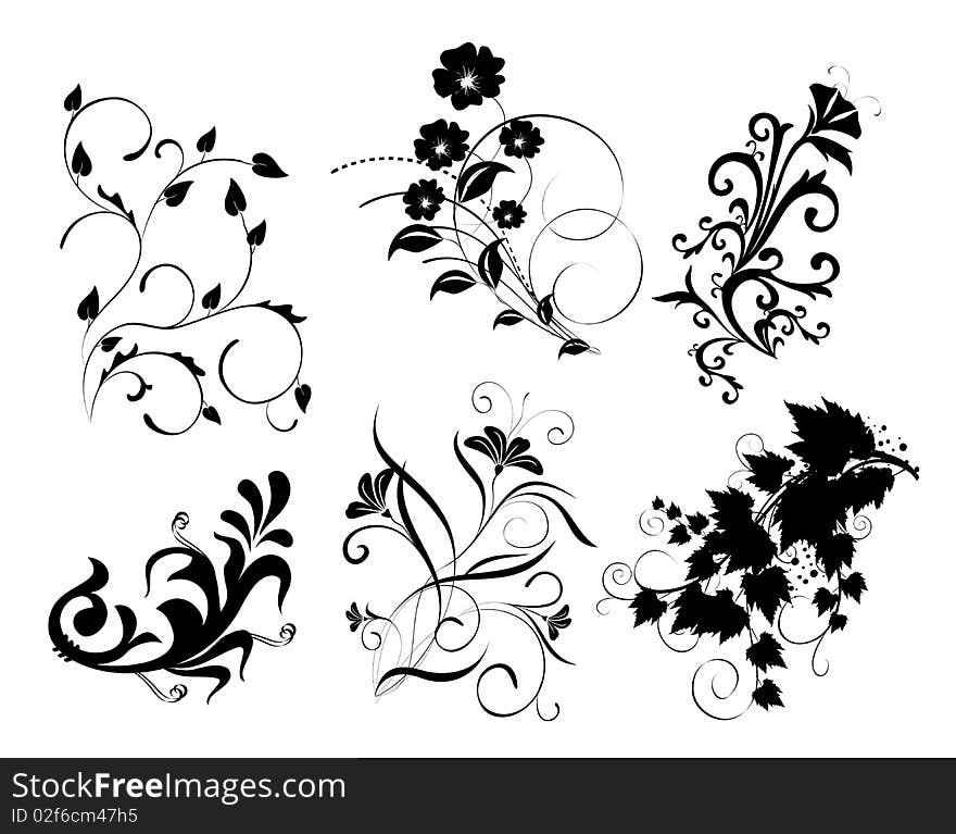 Drawing of flower and plant pattern in a white background