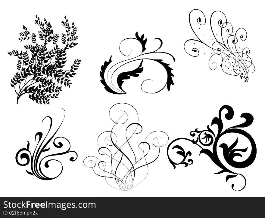 Drawing of black leaves pattern in a white background