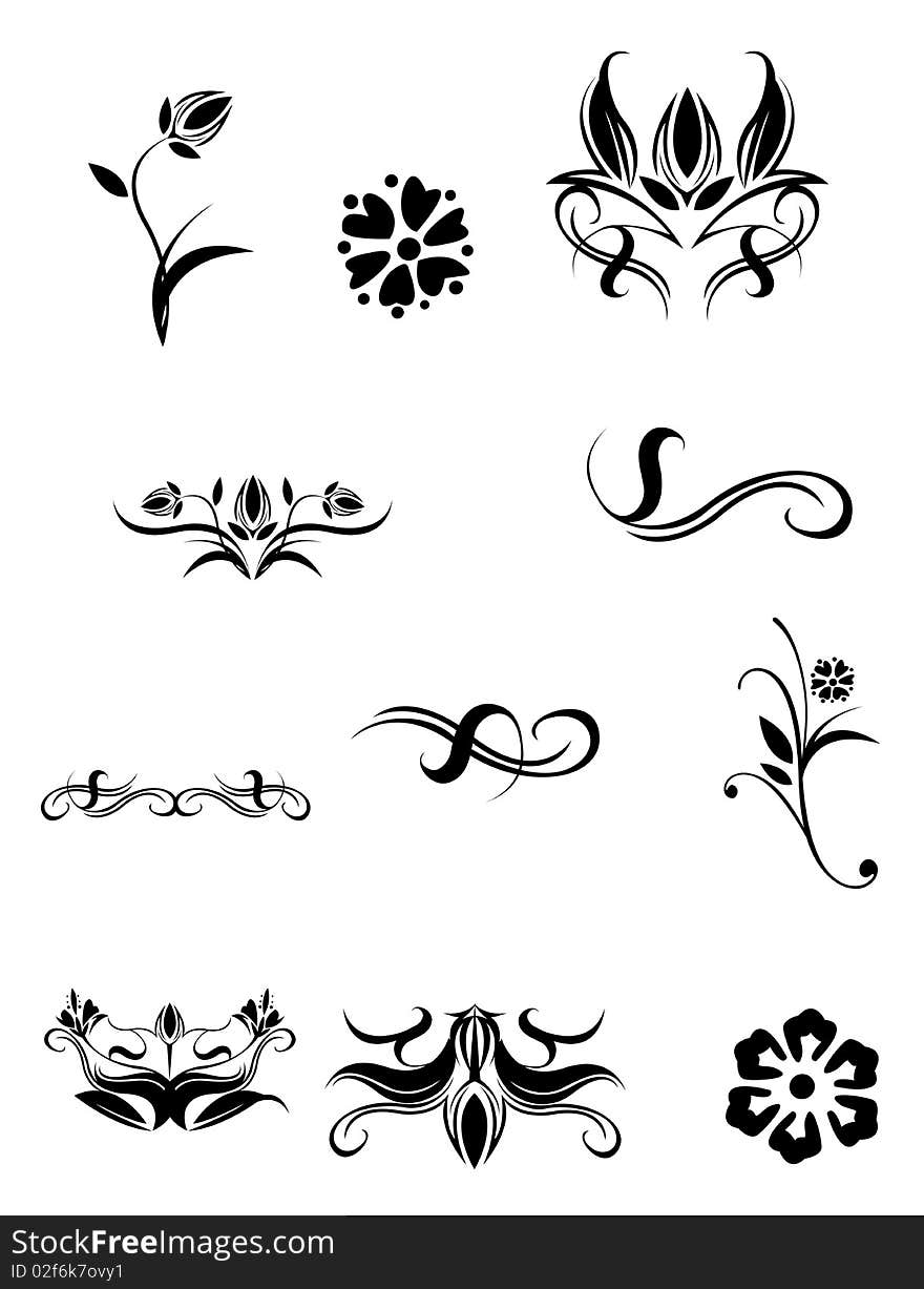 Drawing of flower and plant pattern in a white background