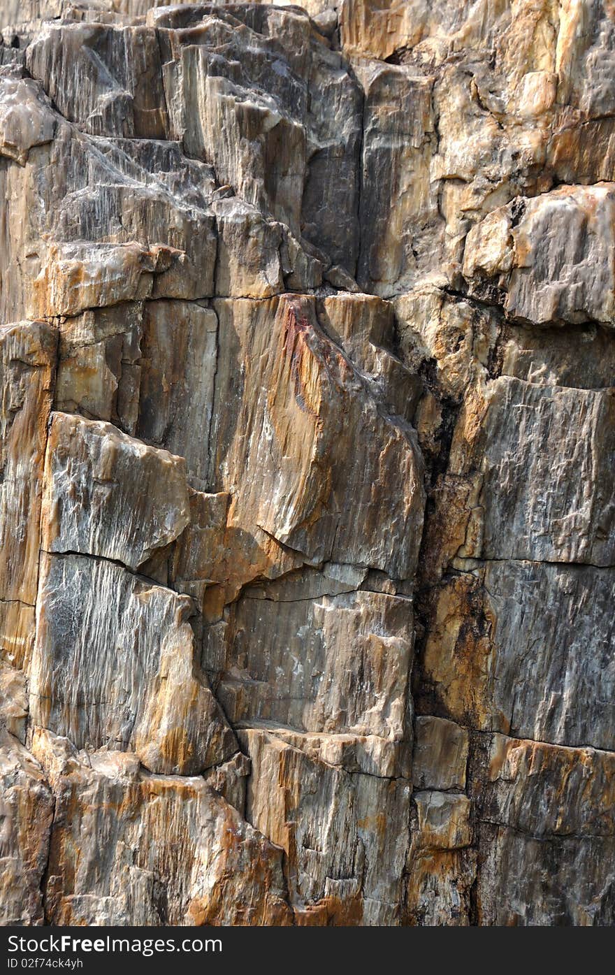 Texture of wooden fossil as rock