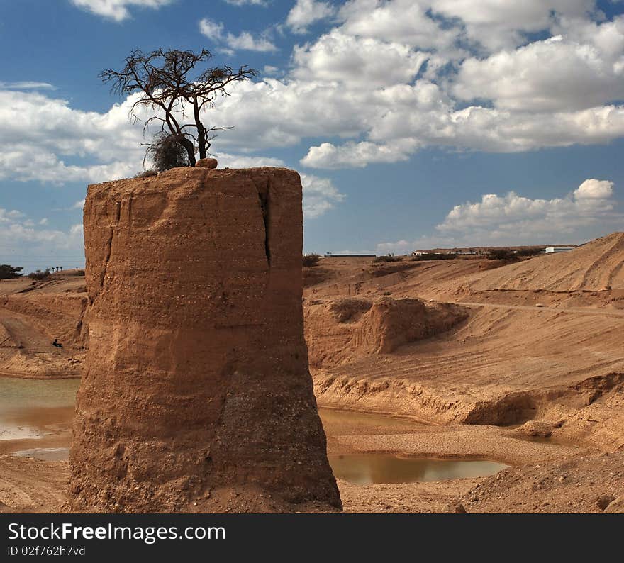 This shot was taken in winter time at the Negev desert of Israel. This shot was taken in winter time at the Negev desert of Israel