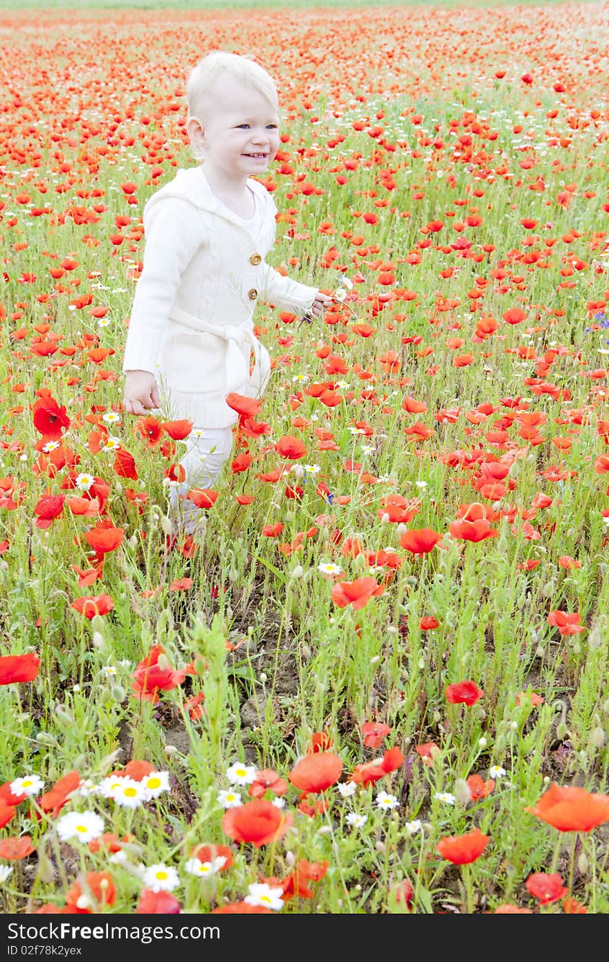 Little girl on summer meadow in blossom. Little girl on summer meadow in blossom