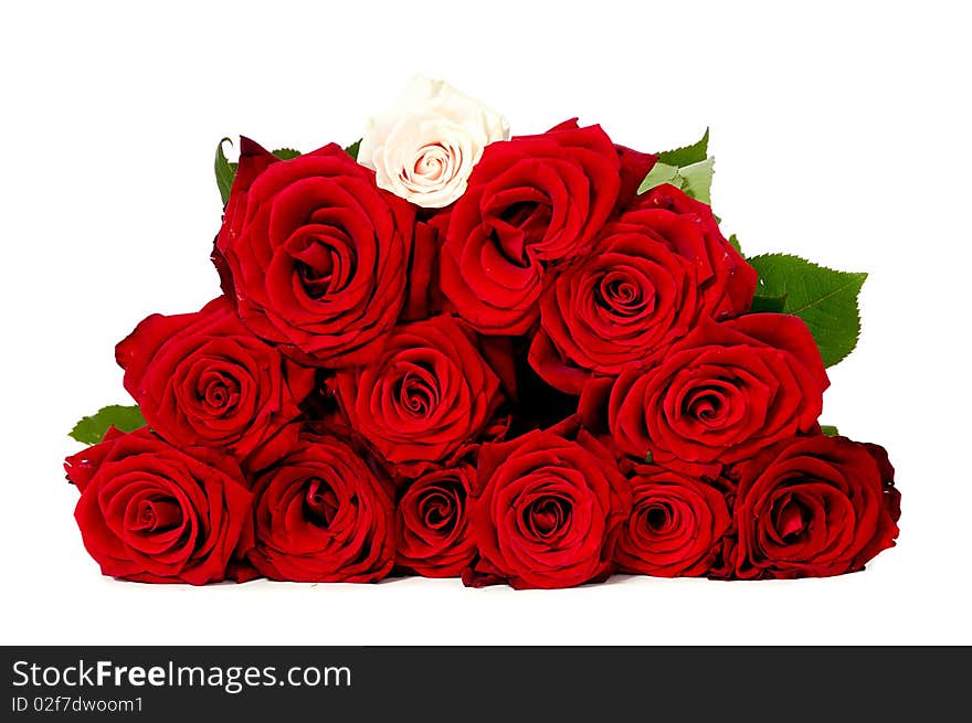 Bouquet of red roses. Taken on a white background. Bouquet of red roses. Taken on a white background.