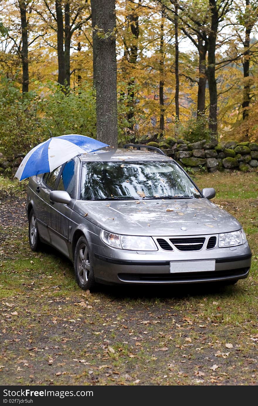 Portrait of car in forest topped with an umbrella. Portrait of car in forest topped with an umbrella