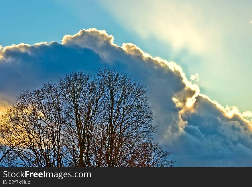 Blue sky white cloud and tree. Blue sky white cloud and tree