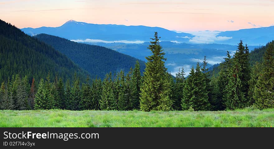 Summer morning in mountains. The picture is made in the Ukrainian Carpathians