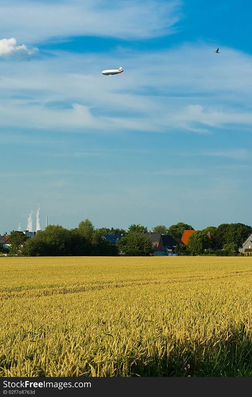 Flight Over A Wheaten Field.