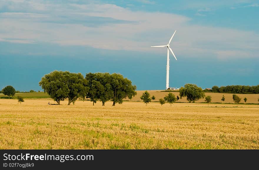 Wheaten field with a mill in a clear flying weather. Wheaten field with a mill in a clear flying weather.