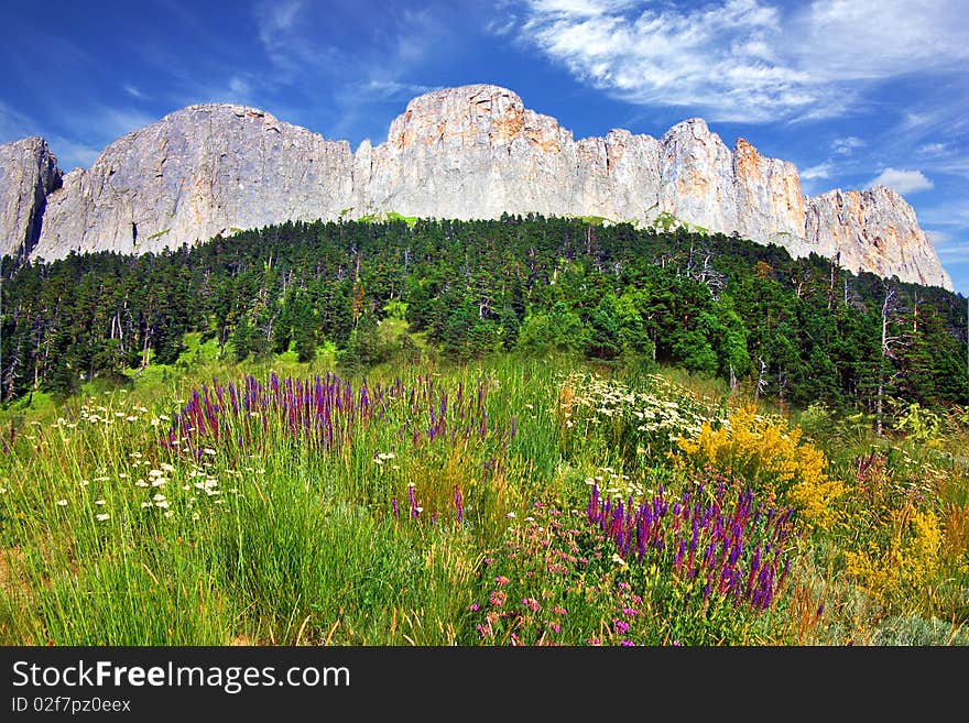 Picturesque Mountain Landscape