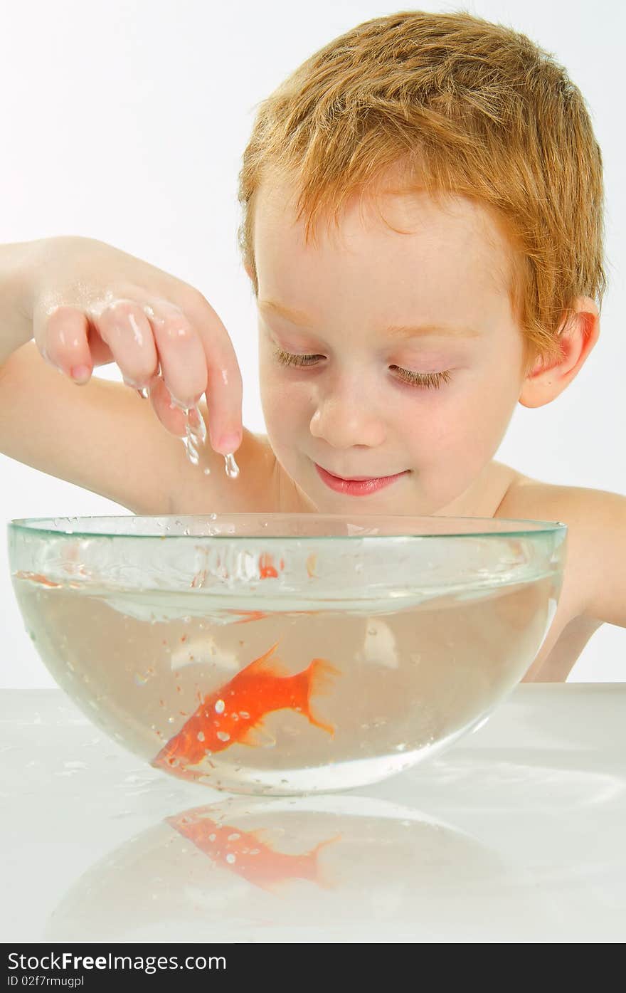 Red-haired boy catches a fish in the bowl with water in studio. Red-haired boy catches a fish in the bowl with water in studio