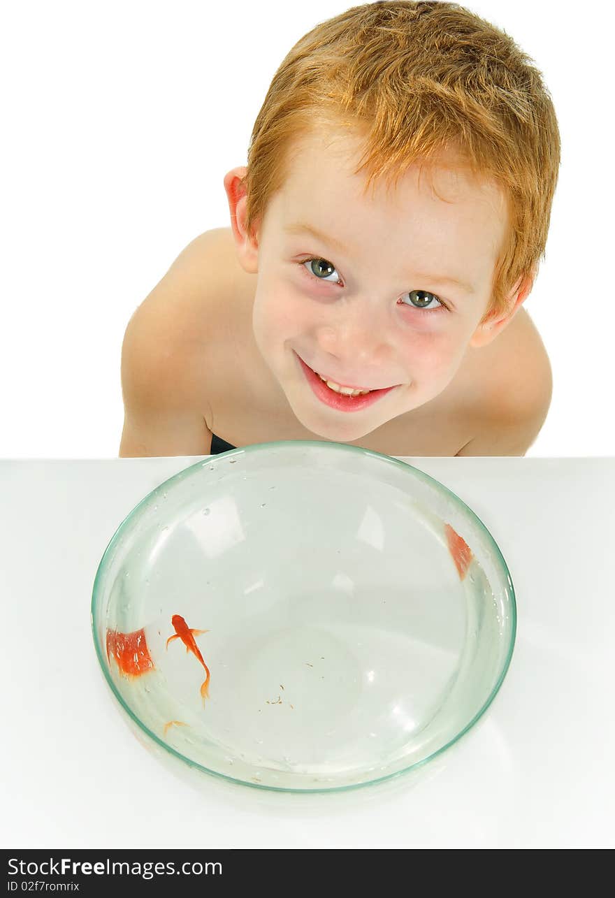 Red-haired boy catches a fish in the bowl with water in studio. Red-haired boy catches a fish in the bowl with water in studio