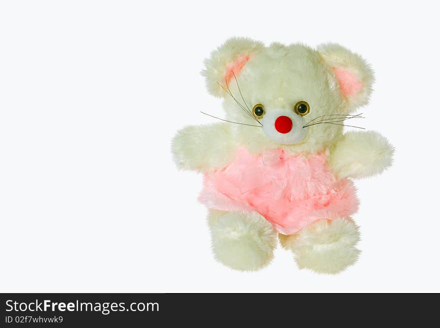 Toy yellow  bear