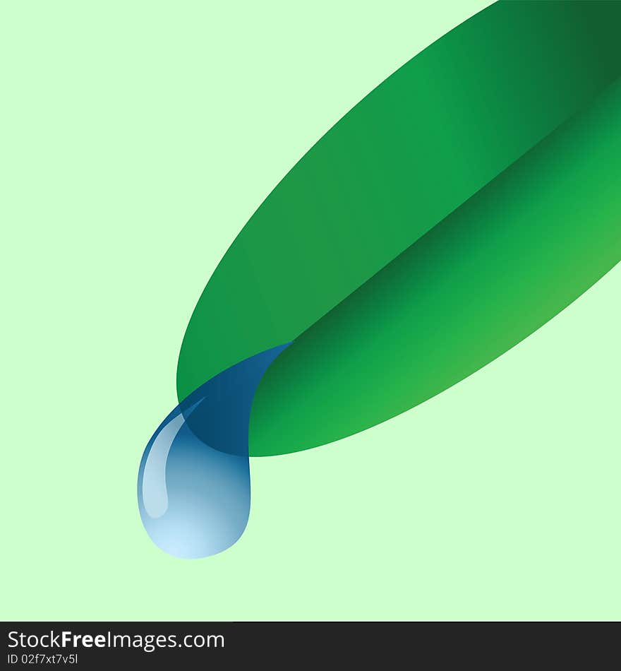 Dew drops on a leaf. Vector illustration