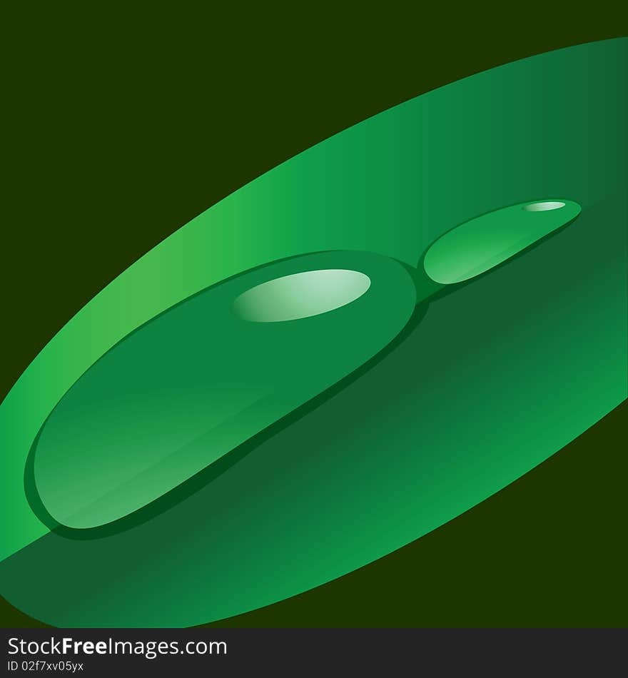 Dew drops on a leaf. Vector illustration