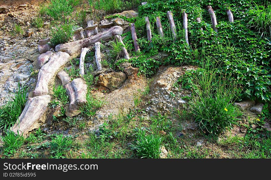 Artificial remains of a dinosaur. Park.