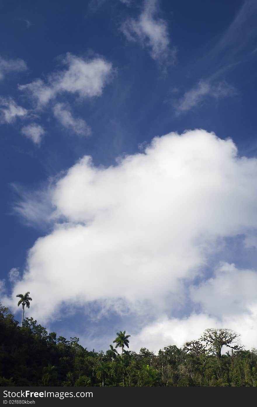 Rainforest with spectacular Caribbean skies in Escambray,  Cuba. Rainforest with spectacular Caribbean skies in Escambray,  Cuba