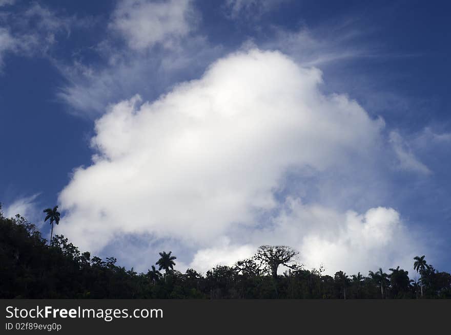 Rainforest with spectacular Caribbean skies in Escambray,  Cuba. Rainforest with spectacular Caribbean skies in Escambray,  Cuba