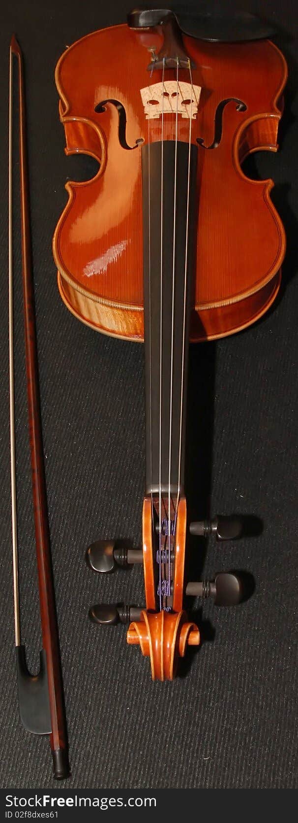 Violin detail