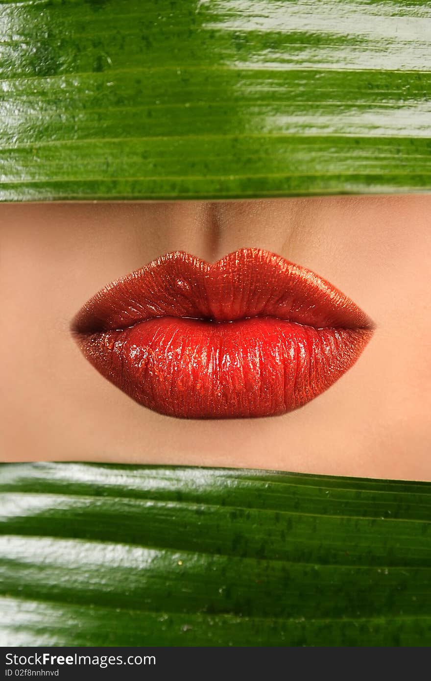 Sexy lips and green leaf. Sexy lips and green leaf