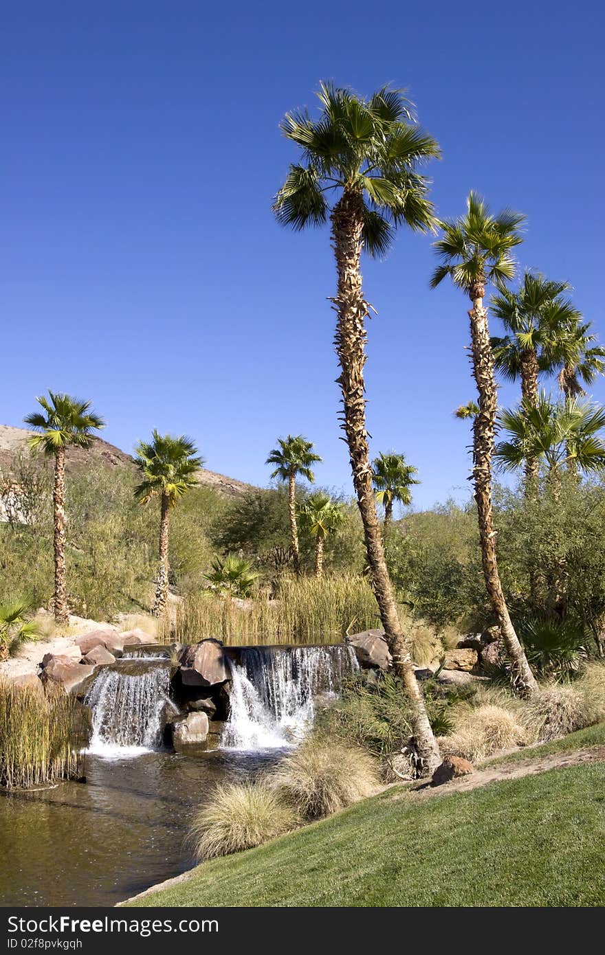 Waterfall with palm trees