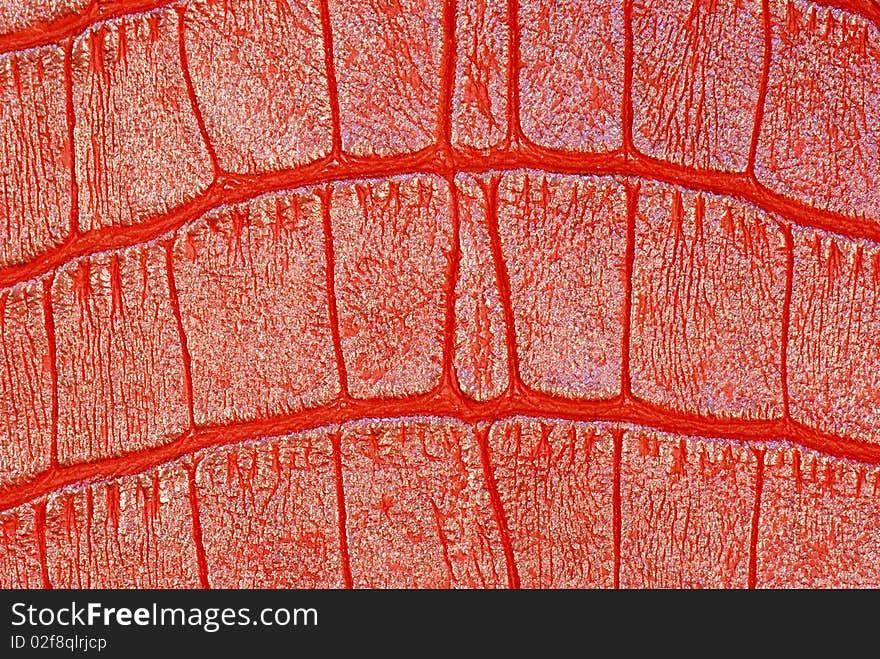 Closeup of red patterned leathher. Closeup of red patterned leathher