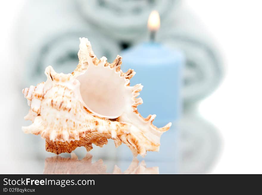 Seashell And Candle