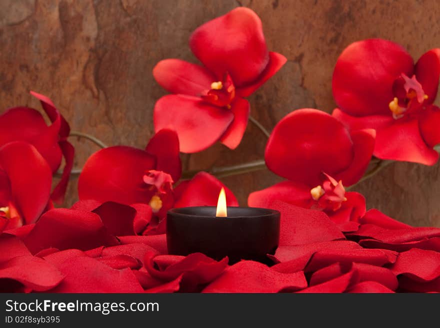 Candle surrounded with red rose petals and orchid. Candle surrounded with red rose petals and orchid