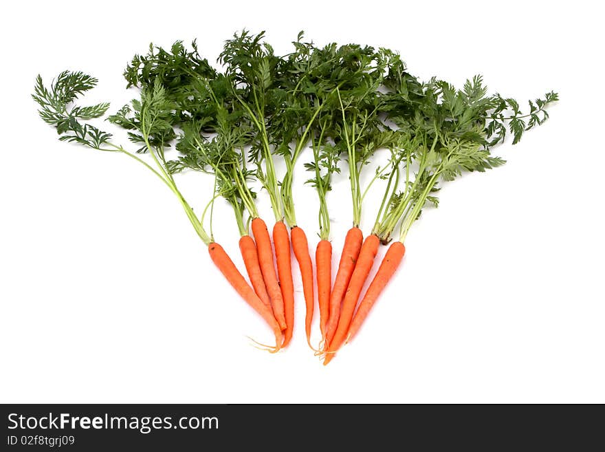 Fresh organic carrot