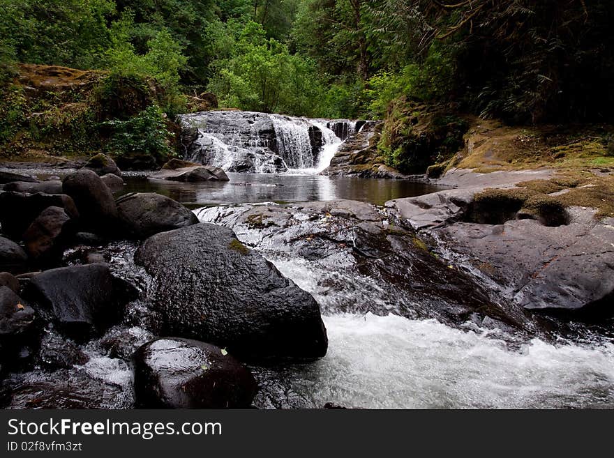 Sweet Creek Falls