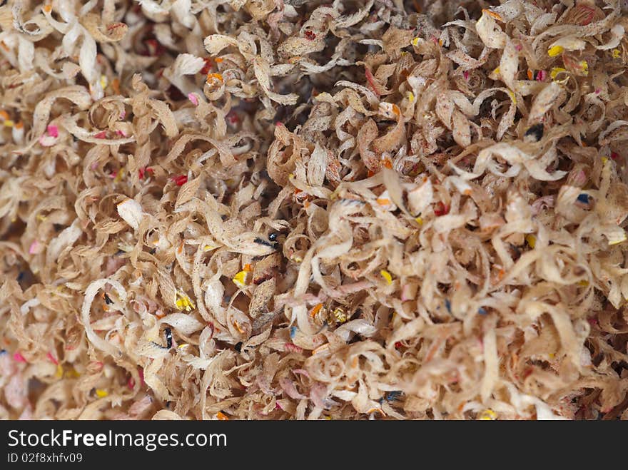 Pencil shavings