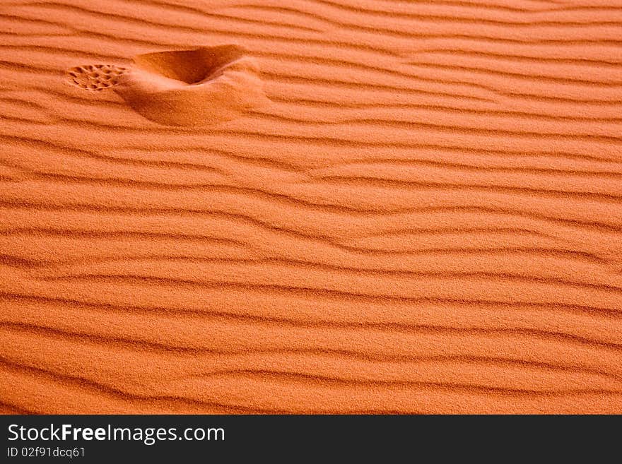 Solitary footprint in a sand dune