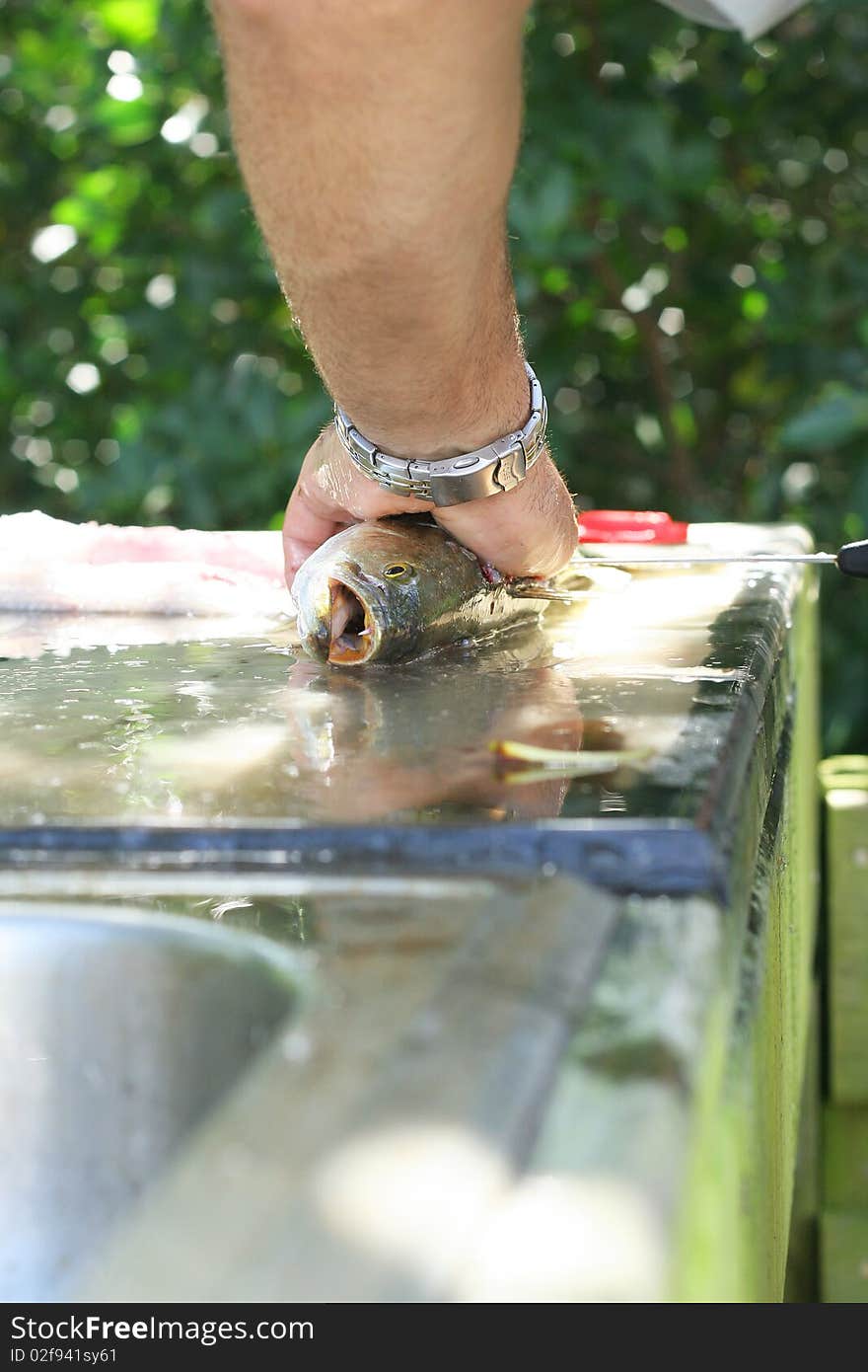 Shot of fresh fillet of fish