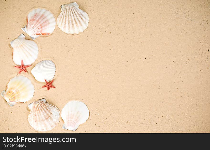 Starfish and seashells on sand