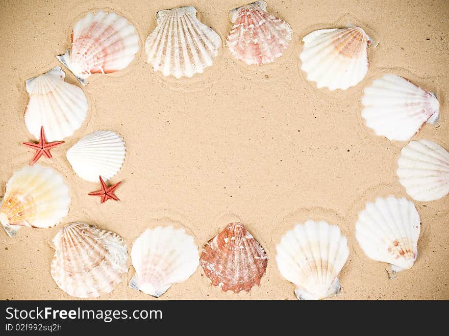 Starfish and seashells on sand