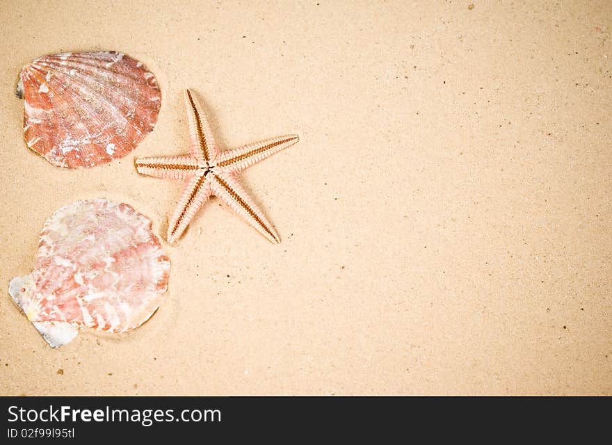 Starfish and seashells on sand