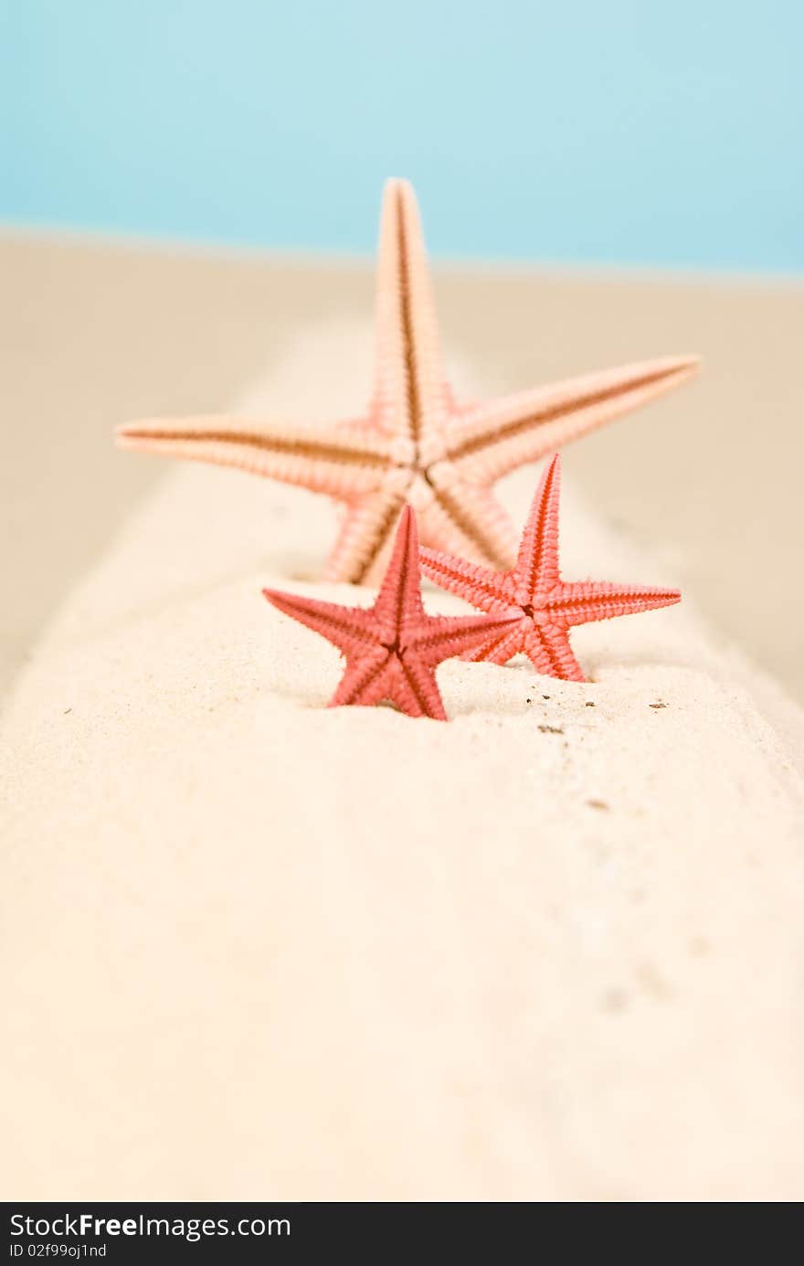 Three starfish on sand and blue sky