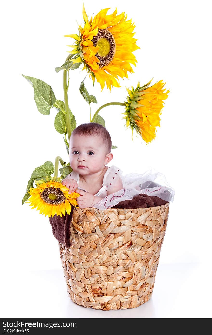 Baby girl in sunflowers