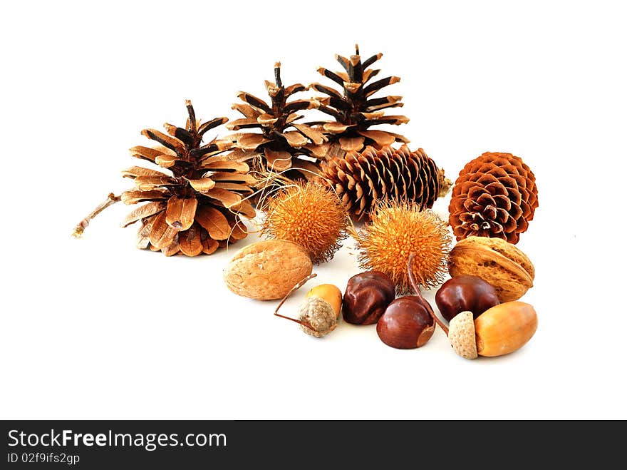 Cones and nuts