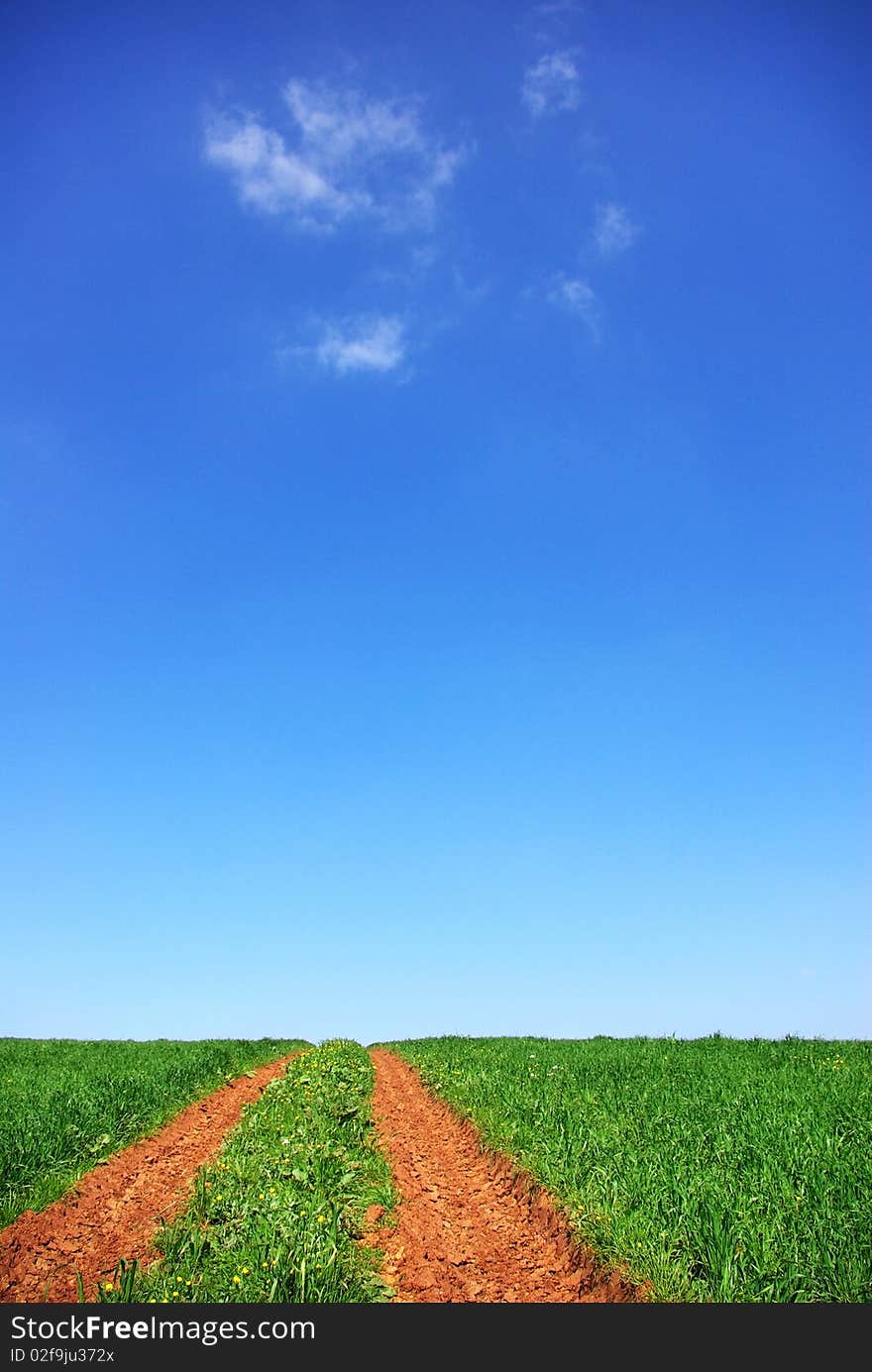 Road in green field at Portugal. Road in green field at Portugal.