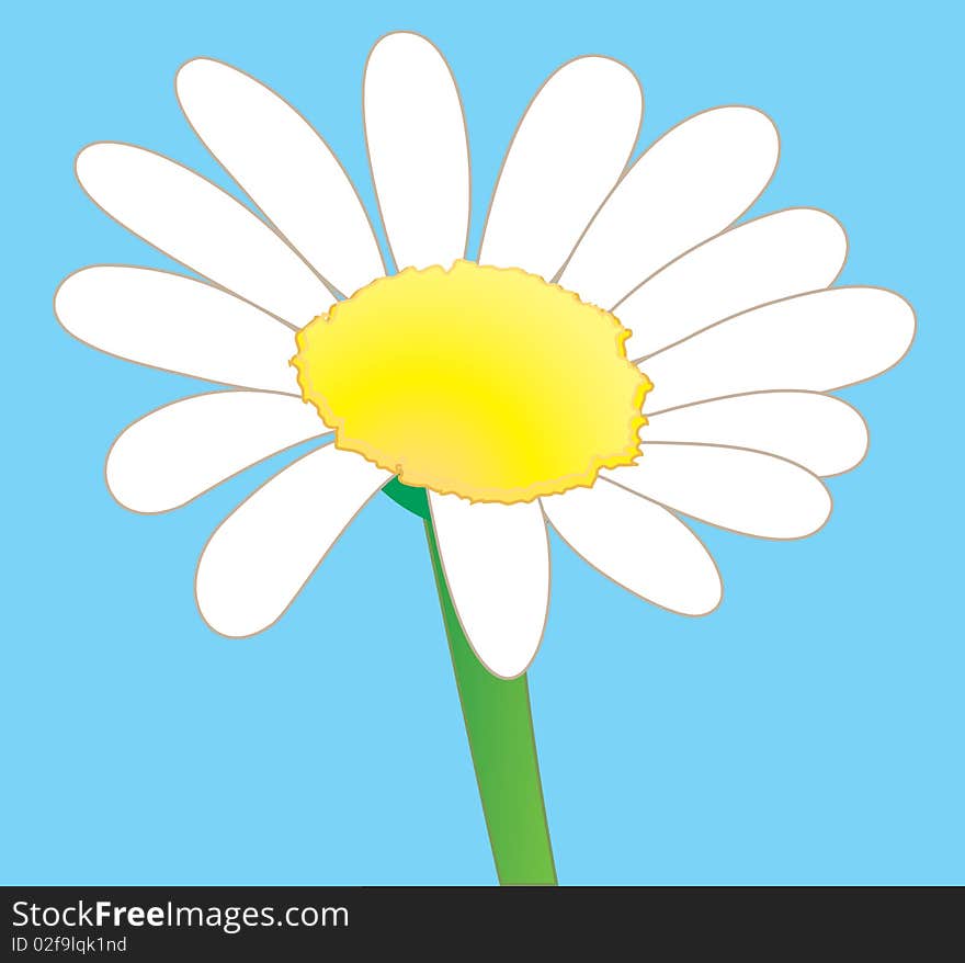 This is a illustration of a beautiful springtime daisy in full bloom. The background can be deleted or changed. This is a illustration of a beautiful springtime daisy in full bloom. The background can be deleted or changed.