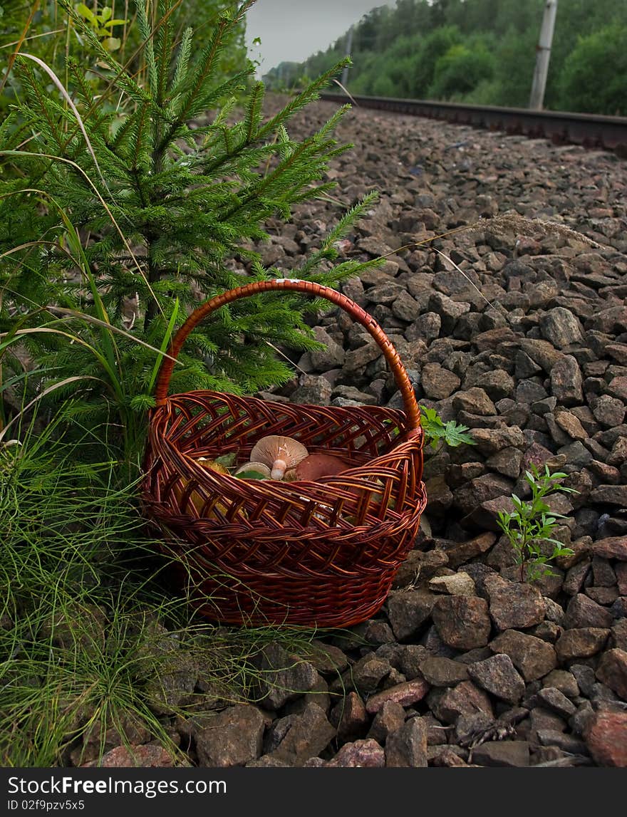 Basket with mushrooms near the railway