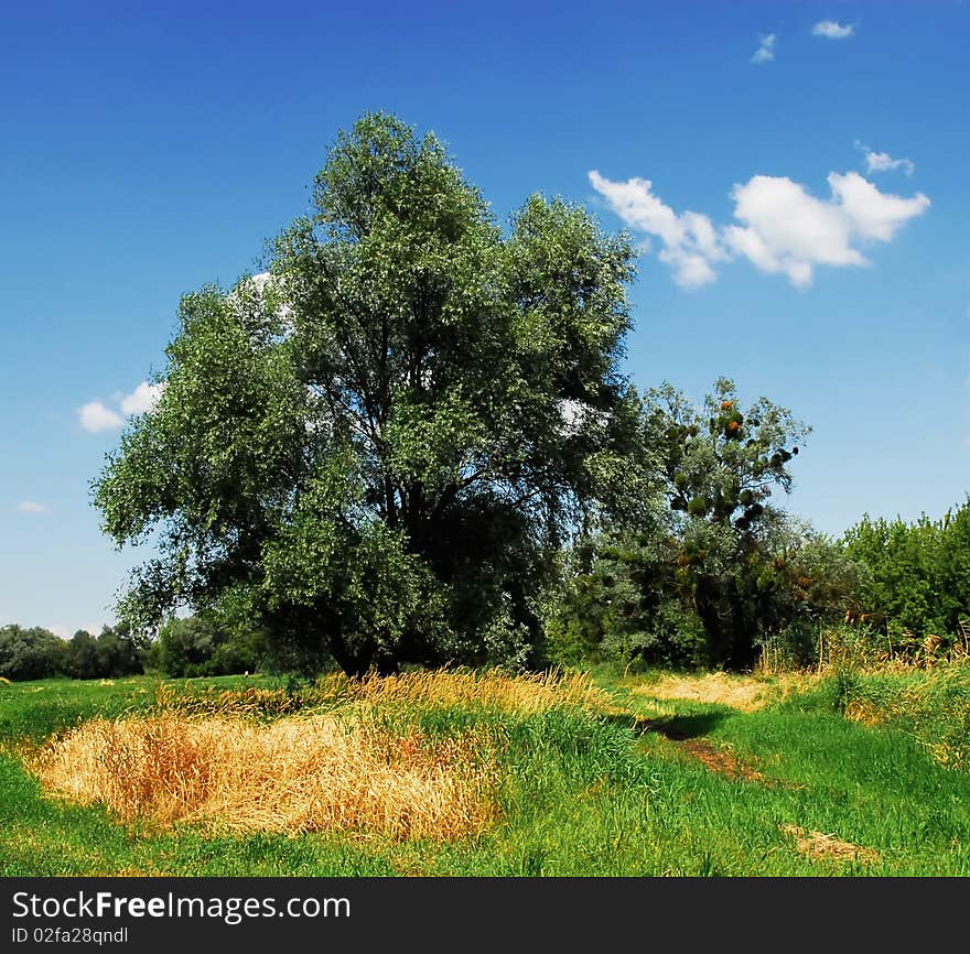 Landscapes Ukrainian villages.