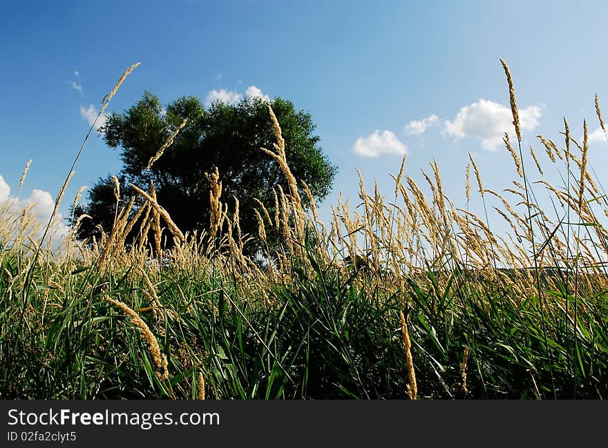 Landscapes Ukrainian villages, situated on the plain. Landscapes Ukrainian villages, situated on the plain.