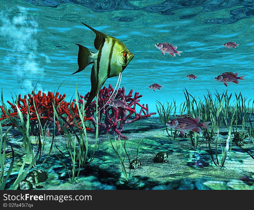 Scene of fish on background coral