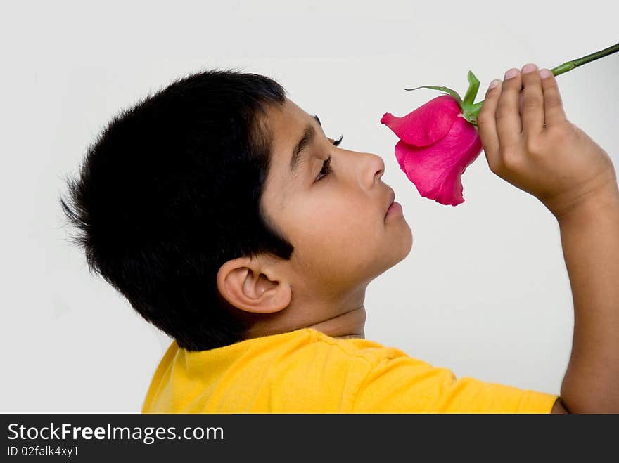 Handsome indian kid holding flower for valentine