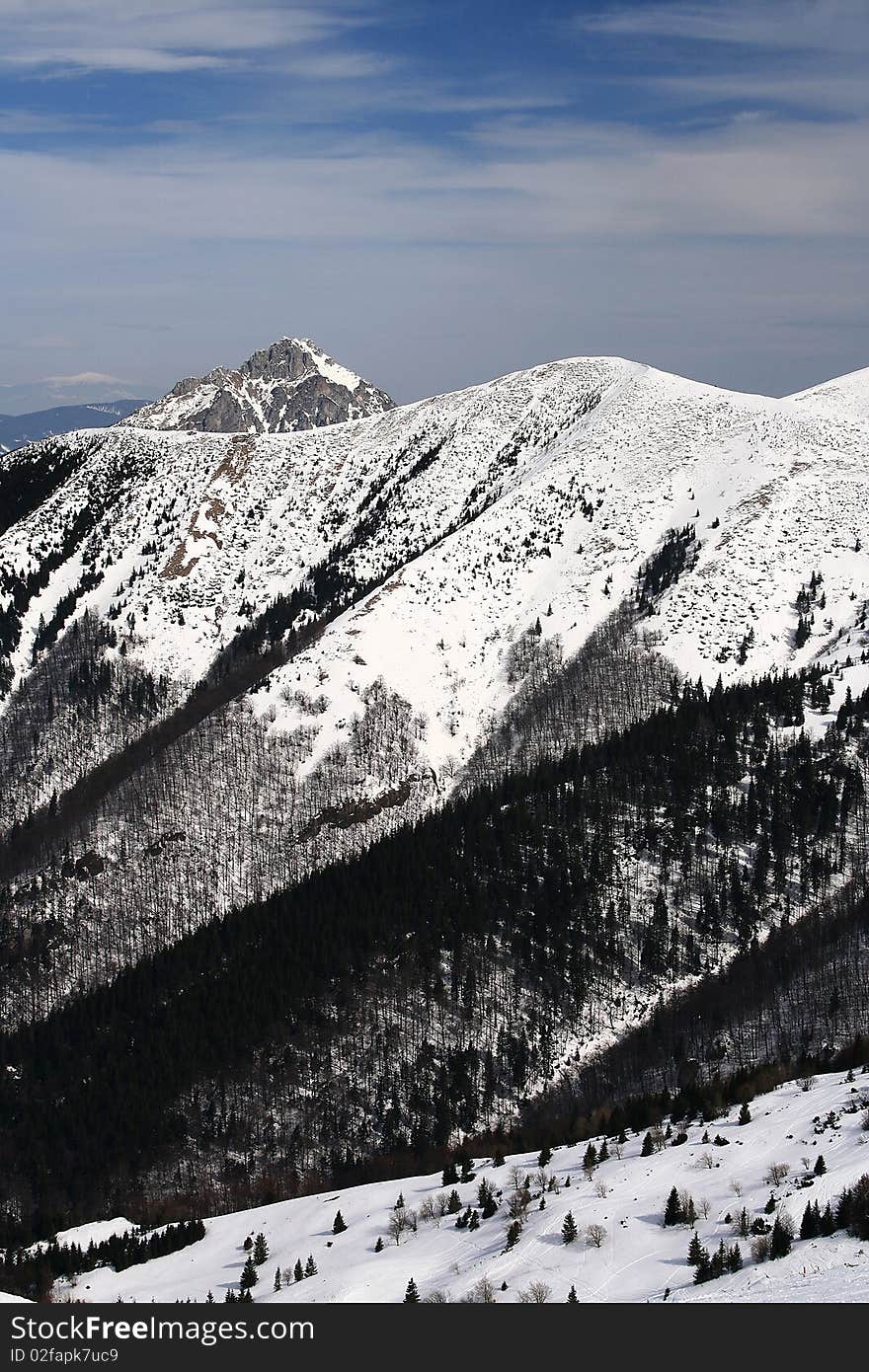 Winter landscape