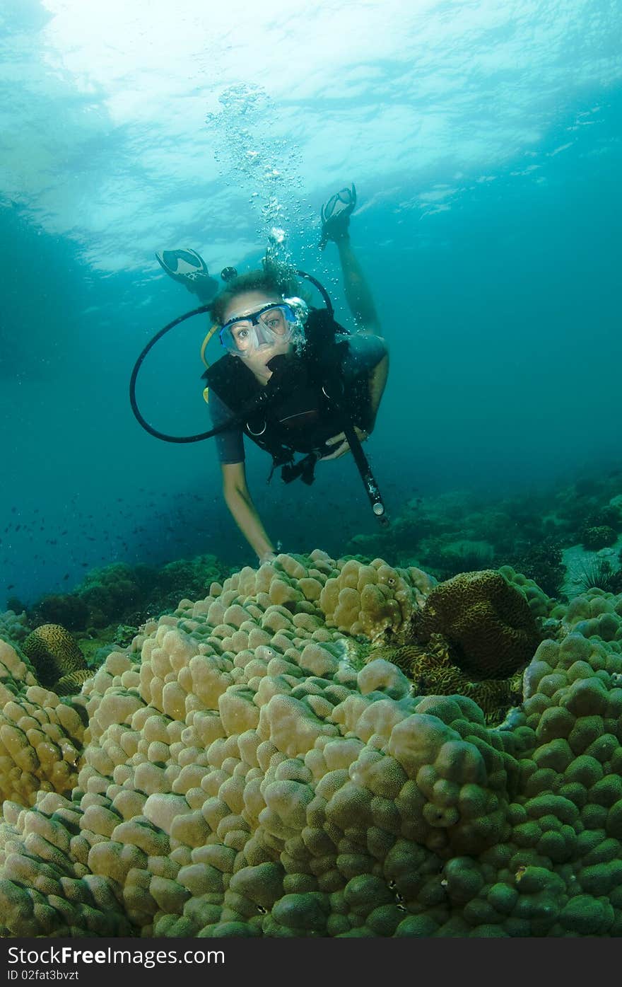 Young female scuba diver swims over coral reef