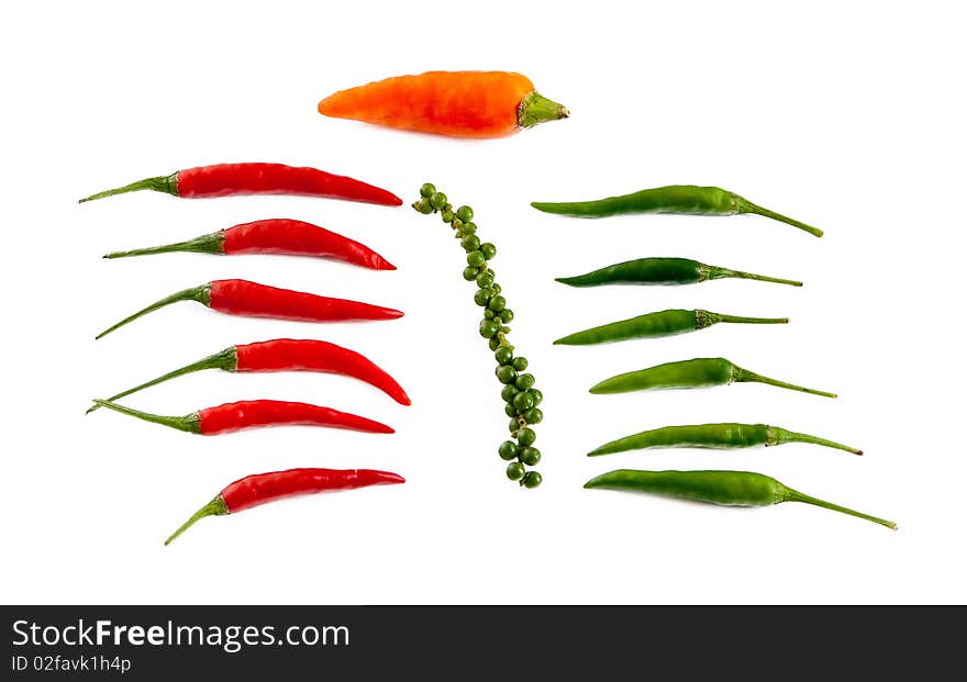 Spices - hot chilli red, green and bell pepper. Spices - hot chilli red, green and bell pepper