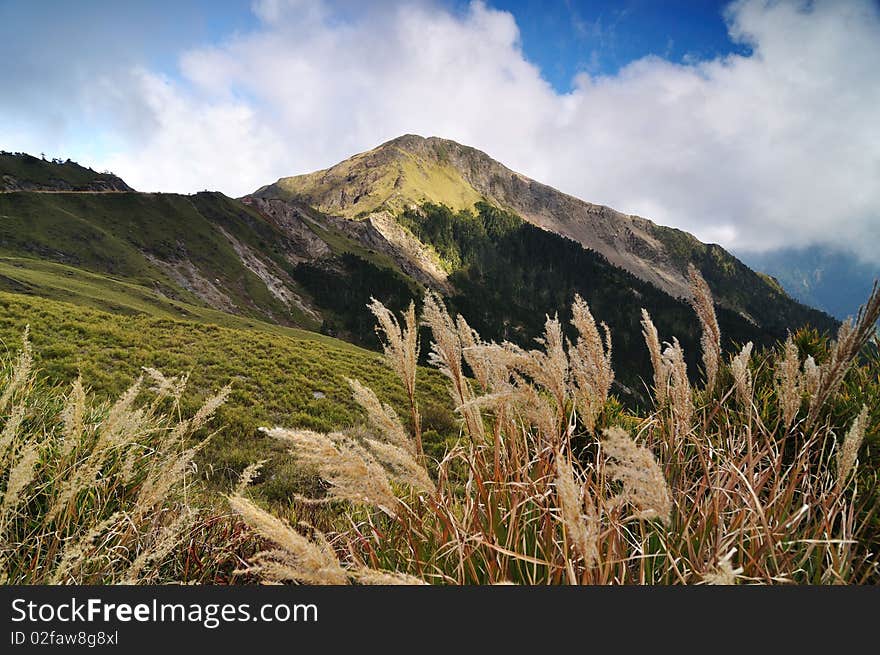 A beauty landscape on the high mountains. A beauty landscape on the high mountains