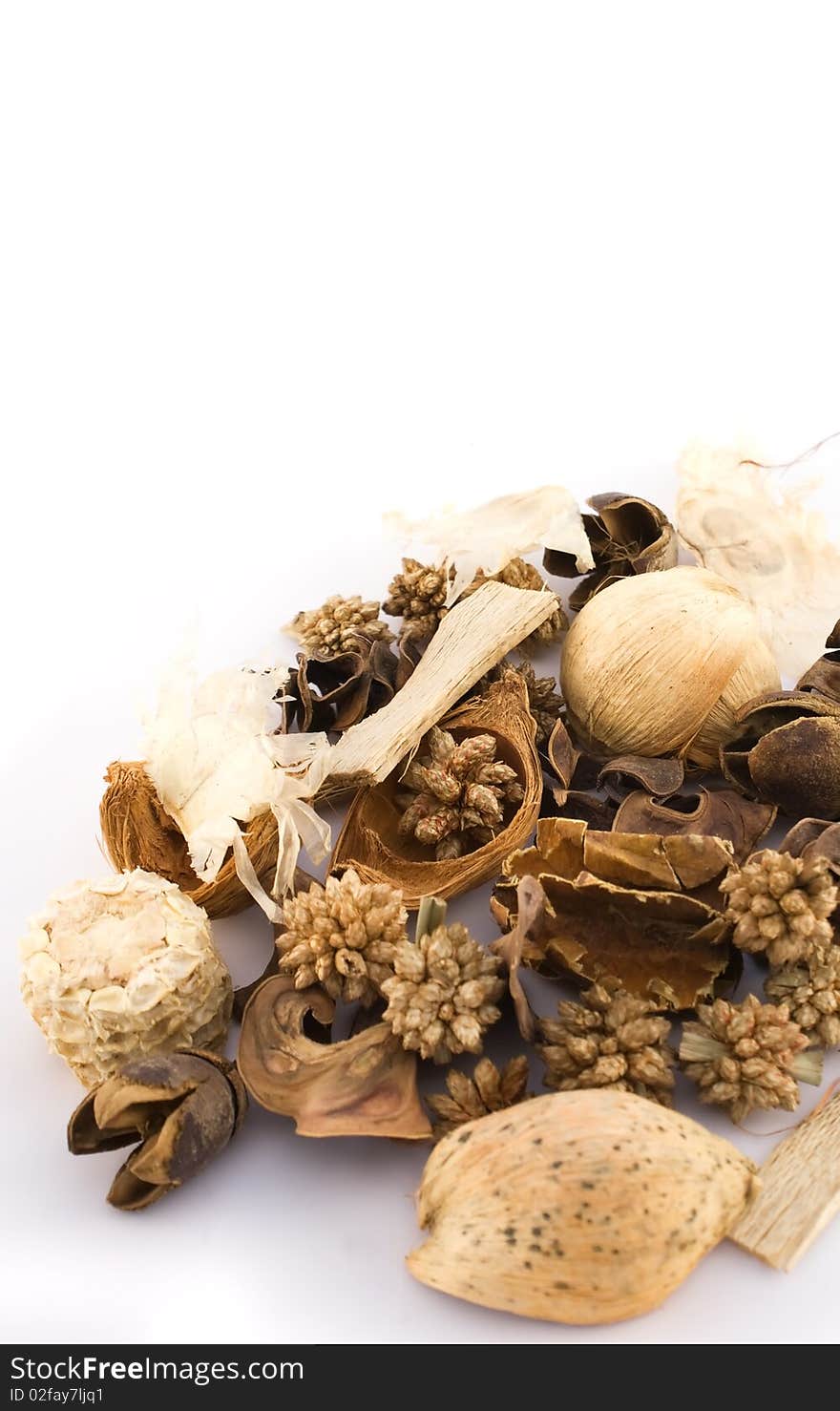 A set of dried herbs and spices. A set of dried herbs and spices